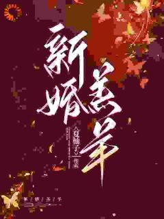 新婚羔羊宁芷靳驰寒大结局在线阅读