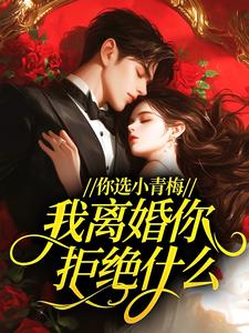 【你选小青梅,我离婚你拒绝什么?】主角(沈清黎孟绥安)在线阅读