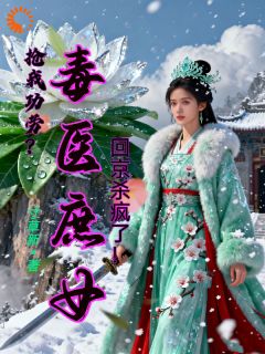 主角是凤九赵子墨的抢我功劳？毒医庶女回京杀疯了！抖音热门小说