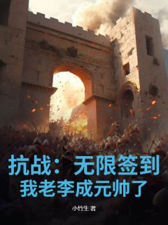 抗战：无限签到，我老李成元帅了小说的书名是什么