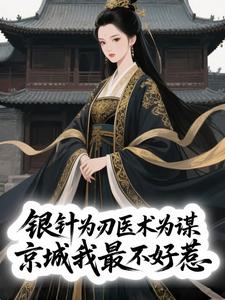 银针为刃医术为谋，京城我最不好惹小说百度云完整章节列表免费阅读
