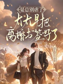 主角容初晏司聿小说爆款晏总别虐了，太太早把离婚书签好了完整版小说