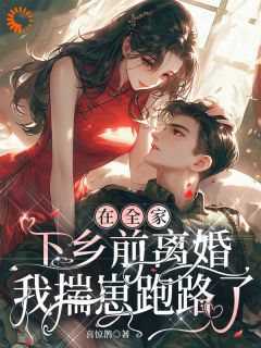 熬夜也要看完的在全家下乡前离婚，我揣崽跑路了小说推荐