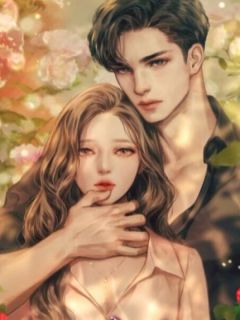 最新小说执迷不悟：告别八年错爱主角温浅秦执姜圆圆全文在线阅读