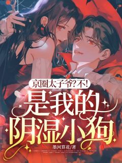 京圈太子爷?不!是我的阴湿小狗(夏妃沈抑)全文完整版阅读
