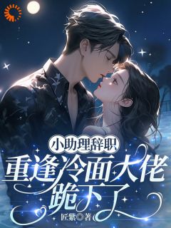 小助理辞职，重逢冷面大佬跪下了无弹窗在线阅读
