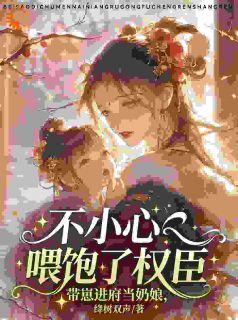 热文带崽进府当奶娘,不小心喂饱权臣小说-主角沈婉裴渊全文在线阅读