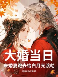 [抖音]小说陆凡苏浅浅大婚当日，未婚妻跑去给白月光渡劫