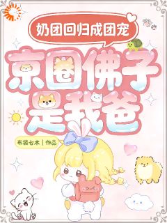 京圈佛子是我爸，奶团回归成团宠沅宝贺时晏-布袋七木小说