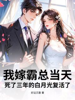我嫁霸总当天，死了三年的白月光复活了陆沉港小眠全本小说（我嫁霸总当天，死了三年的白月光复活了）全章节小说目录阅读