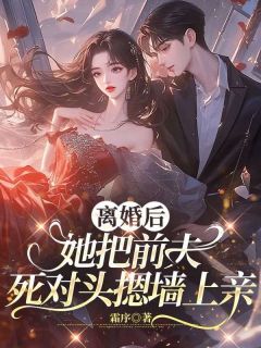 良心推荐离婚后，她把前夫死对头摁墙上亲小说试读