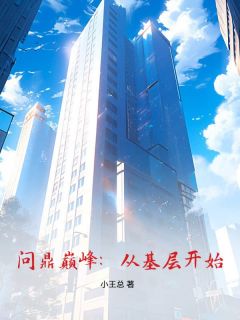 问鼎巅峰：从基层开始小说在线阅读，主角王文铎赵湘精彩段落最新篇