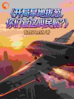 林墨朱广林小说抖音热文王牌机长穿民航，系统逼我开无双完结版