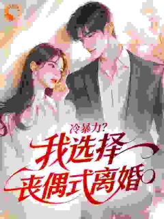 冷暴力？我选择丧偶式离婚在哪免费看，沈舒禾温言祁小说章节目录阅读