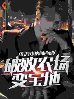 东方小伙闯西部,破败农场变宝地陈安莎拉-小说txt全文阅读