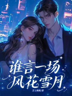 谁言一场风花雪月小说言嘉陆沉苏暖免费阅读