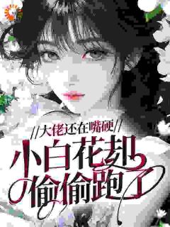 快手热文大佬还在嘴硬，小白花却偷偷跑了沈清漪陆靳深小说推荐