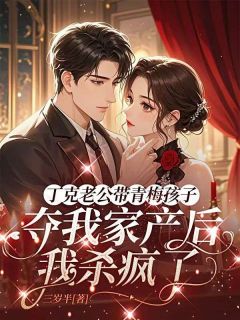 严浩瑜丁克完整未删减版在线阅读 严浩瑜丁克结局-暗夜阅读网