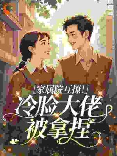 林婉笙陆战霆小说<家属院互撩!冷脸大佬被拿捏>全文在线阅读