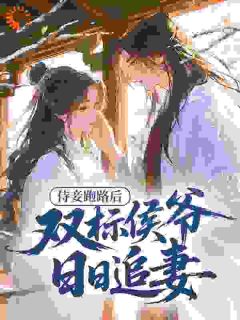 黎烟靖安侯霜蝶是哪部小说的主角 侍妾跑路后，双标侯爷日日追妻全文无弹窗