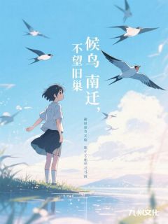 候鸟南迁，不望旧巢(新书)小说_喻晴沈言心阅读