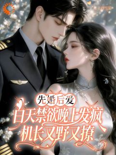 好看的白天禁欲晚上发疯,机长又野又撩小说,主角乔曦凌云最新章节阅读