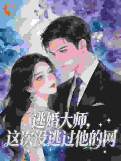老书虫看了N遍的逃婚大师,这次没逃过他的网最新章节