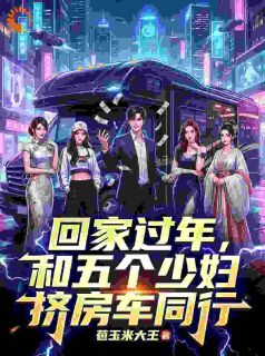 无弹窗小说回家过年，和五个少妇挤房车同行 作者苞玉米大王