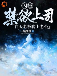 闪婚禁欲上司，白天老板晚上老公明皎贺澹静小说_闪婚禁欲上司，白天老板晚上老公完结版阅读