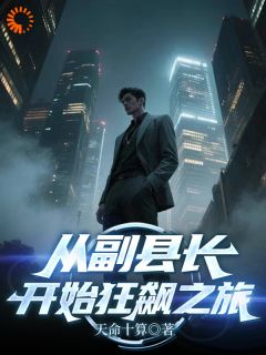 徐天华李明远全集小说_从副县长开始狂飙之旅完结版阅读