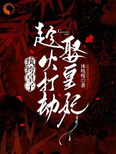 纨绔皇子，趁火打劫娶皇妃全集小说_云婼萧玦完结版阅读