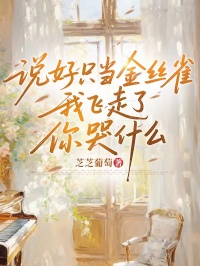 说好只当金丝雀，我飞走后你哭什么小说-宋南意万里全篇阅读