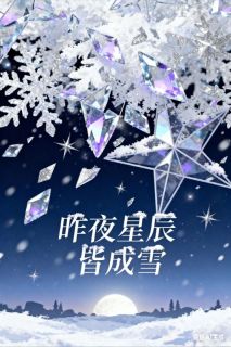 昨夜星辰皆成雪盛明月傅庭深穆娜大结局小说全章节阅读