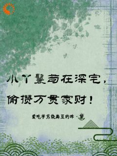 林禾梅心小说小丫鬟苟在深宅，偷攒万贯家财！免费阅读