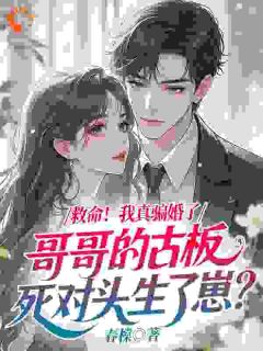 抖音宋今禧谢汀鹤小说叫什么名字