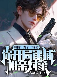 杨沐萧青青小说大结局在哪看-刑侦：为了二等功，你开局逮捕相亲对象？完整版免费阅读-暗夜阅读网