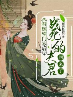 雨淡风清写的小说替嫁望门寡后，战死的夫君回来了喻青瓷陆云起全文阅读