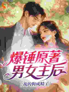 最新小说爆锤原著男女主后，我的狗成精了主角钟意盛西诀全文在线阅读