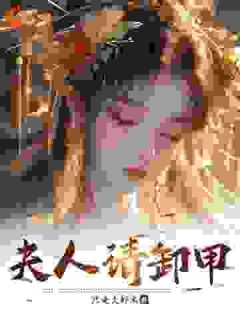 抖音爆款夫人请卸甲小说免费阅读