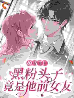 掉马了!黑粉头子竟是他前女友小说免费版阅读抖音热文