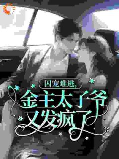 好书推荐囚宠难逃,金主太子爷又发疯了乔芋江宴亭全文在线阅读