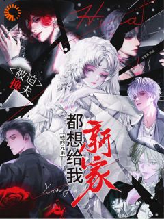 被迫换夫,他的兄弟都想给我新家岑溪岑盈全章节在线阅读