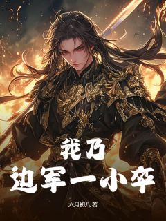 我乃边军一小卒by六月初八