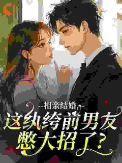 凌夕澜霍潇主角抖音小说相亲结婚，这纨绔前男友憋大招了？在线阅读