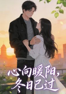 爆款小说心向暖阳,冬日已过在线阅读-傅裴川路月初免费阅读