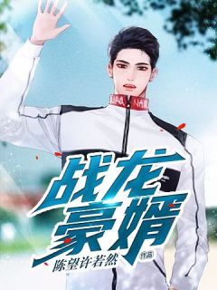 战龙豪婿陈望许若然全本小说（战龙豪婿）全章节小说目录阅读