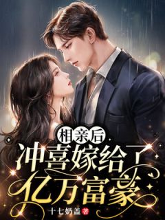 抖音小说相亲后,冲喜嫁给了亿万富豪,主角齐早早厉司爵最后结局小说全文免费