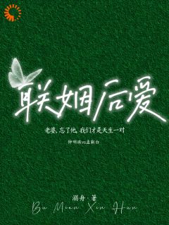 快手钟明珠孟靳白主角的小说全本章节大结局-暗夜阅读网