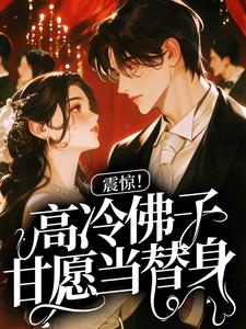 震惊!高冷佛子甘愿当替身完整版免费阅读,盛夏江野小说大结局在哪看-暗夜阅读网