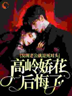 发现老公就是死对头，高岭娇花后悔了林浅雾陆驰墨-小说txt全文阅读